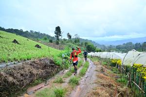 BIB: 
                            <button type="button" onclick="openModal(13377986)" class="btn btn-primary btn-sm float-right btn-popup" data-toggle="modal" data-target=".modal-high-quality">
                        <i class="fas fa-shopping-cart"></i> Add to Cart
                    </button>
                                            <button type="button" onclick="isThisMe(13377986, true)" class="btn btn-success btn-sm float-right btn-popup btn-isme hidden" data-toggle="tooltip" data-placement="bottom" title="นี่คือรูปของคุณใช่ไหม คลิกที่นี่เพื่อเอาเข้าอัลบั้ม">
                        <i class="fas fa-plus"></i> Add to album
                    </button>
                    <button type="button" onclick="isThisMe(13377986, false)" class="btn btn-warning btn-sm float-right btn-popup btn-isnotme hidden">
                        <i class="fas fa-ban"></i> Remove from album
                    </button>